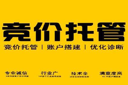 行业经典案例：SEM推广代运营如何助力销售增长